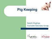 Pig Keeping