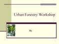 Urban Forestry Workshop PowerPoint PPT Presentation