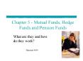 Chapter 5 - Mutual Funds, Hedge Funds and Pension Funds PowerPoint PPT Presentation