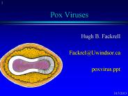 Pox Viruses