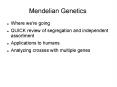 Mendelian Genetics PowerPoint PPT Presentation