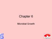 Microbial Growth