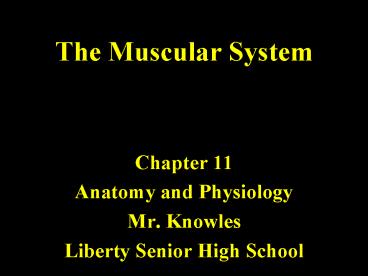 PPT – The Muscular System PowerPoint presentation | free to download ...