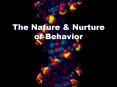 The Nature PowerPoint PPT Presentation