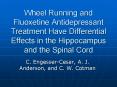Wheel Running and Fluoxetine Antidepressant Treatment Have Differential Effects in the Hippocampus and the Spinal Cord PowerPoint PPT Presentation
