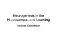 Neurogenesis in the Hippocampus and Learning PowerPoint PPT Presentation