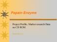 Papain Enzyme PowerPoint PPT Presentation