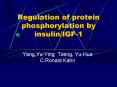 Regulation of protein phosphorylation by insulin/IGF-1 PowerPoint PPT Presentation