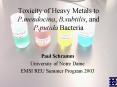 Toxicity of Heavy Metals to P.mendocina, B.subtilis, and P.putida Bacteria PowerPoint PPT Presentation