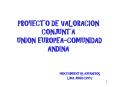 PROYECTO DE VALORACION CONJUNTA UNION EUROPEA-COMUNIDAD ANDINA PowerPoint PPT Presentation