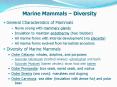 Marine Mammals  PowerPoint PPT Presentation