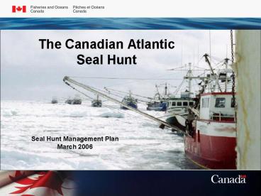 The Canadian Atlantic Seal Hunt