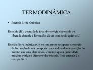 TERMODIN