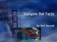 Vampire Bat Facts PowerPoint PPT Presentation