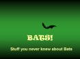 BATS! PowerPoint PPT Presentation