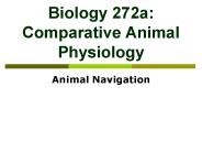 Biology 272a: Comparative Animal Physiology