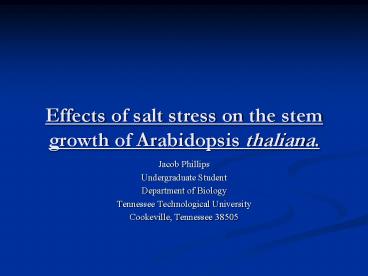 Effects of salt stress on the stem growth of Arabidopsis thaliana.
