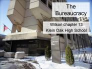 The Bureaucracy