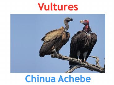 Vultures