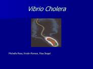 Vibrio Cholera