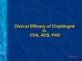 Clinical Efficacy of Clopidogrel in CVA, ACS, PAD PowerPoint PPT Presentation