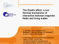 The Zhadin effect: a non thermal mechanism of interaction between magnetic fields and living matter PowerPoint PPT Presentation