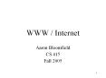 WWW / Internet PowerPoint PPT Presentation