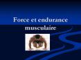 Force et endurance musculaire PowerPoint PPT Presentation