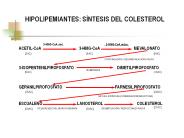 HIPOLIPEMIANTES: S