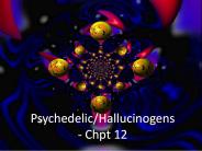Psychedelic/Hallucinogens - Chpt 12