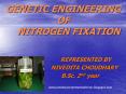 GENETIC ENGINEERING OF   NITROGEN FIXATION PowerPoint PPT Presentation