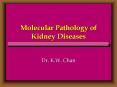 Molecular Pathology of Kidney Diseases PowerPoint PPT Presentation