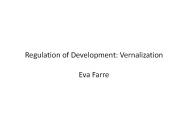 Regulation of Development: Vernalization