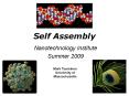 Self Assembly PowerPoint PPT Presentation