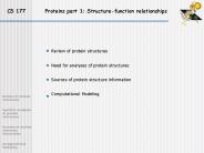 CS 177     Proteins part 1: Structure-function relationships