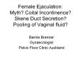 Female Ejaculation: Myth? Coital Incontinence? Skene Duct Secretion? Pooling of Vaginal fluid? PowerPoint PPT Presentation