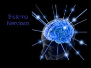 Sistema Nervioso