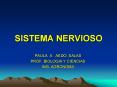 SISTEMA NERVIOSO PowerPoint PPT Presentation