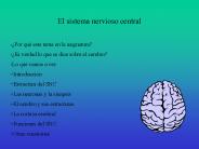El sistema nervioso central