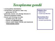 Toxoplasma gondii