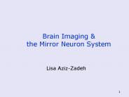 Brain Imaging