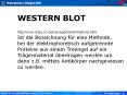 WESTERN BLOT http://www.wiley.co.uk/reecegenes/animations.html Ist die Bezeichnung f PowerPoint PPT Presentation