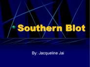 Southern Blot