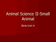 Animal Science II-Small Animal PowerPoint PPT Presentation