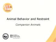 Animal Behavior and Restraint