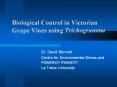 Biological Control in Victorian Grape Vines using Trichogramma PowerPoint PPT Presentation