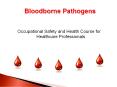 OSHA Standards:  Blood Borne Pathogens PowerPoint PPT Presentation