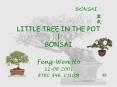 LITTLE TREE IN THE POT | BONSAI PowerPoint PPT Presentation