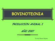 BOVINOTECNIA