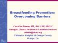 Breastfeeding Promotion: Overcoming Barriers PowerPoint PPT Presentation